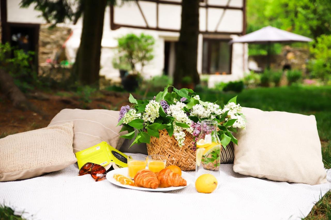 Za Rozowymi Drzwiami Villa เยเลเนียกูรา ภายนอก รูปภาพ